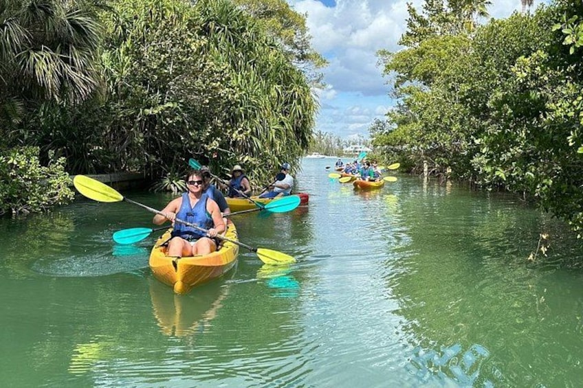 People kayaking on a narrow waterway surrounded by dense vegetation. 2