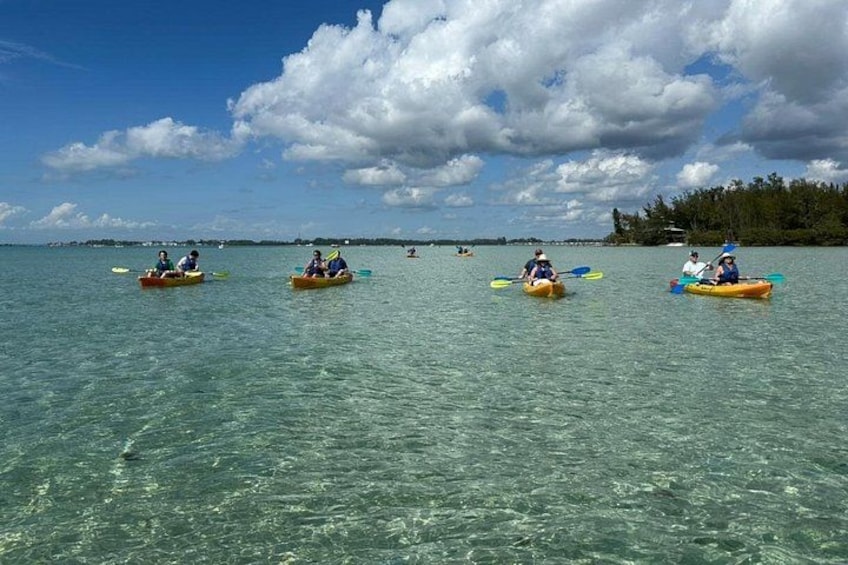 People kayaking on a clear blue sea with a forested island in the background. 4