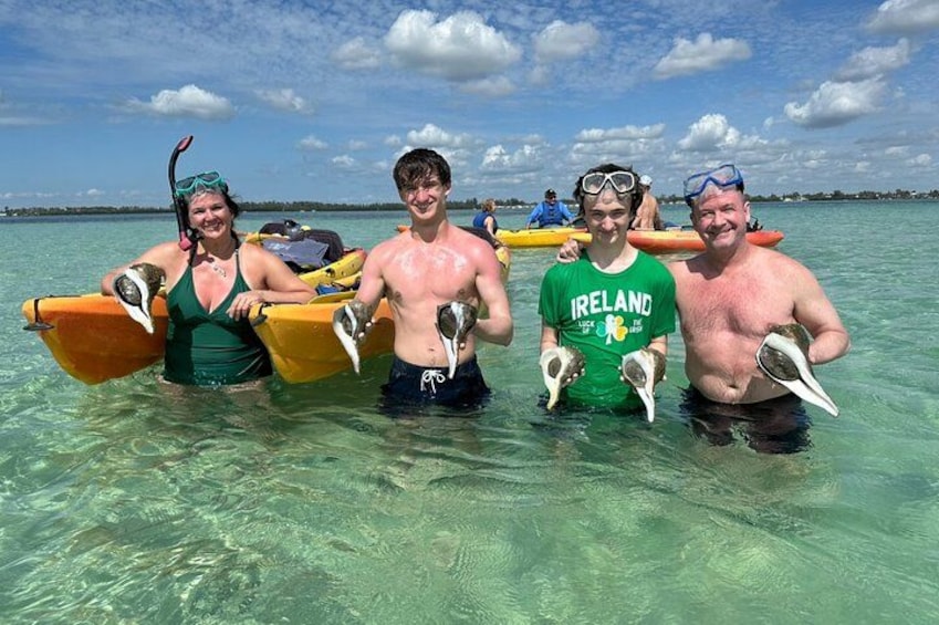 People in shallow water holding sea turtles, with kayaks and a clear sky in the background. 1
