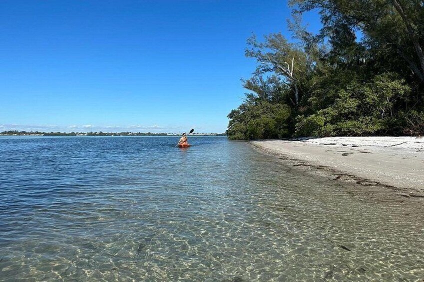 A kayaker on a clear blue water body, surrounded by trees and a sandy beach. 5