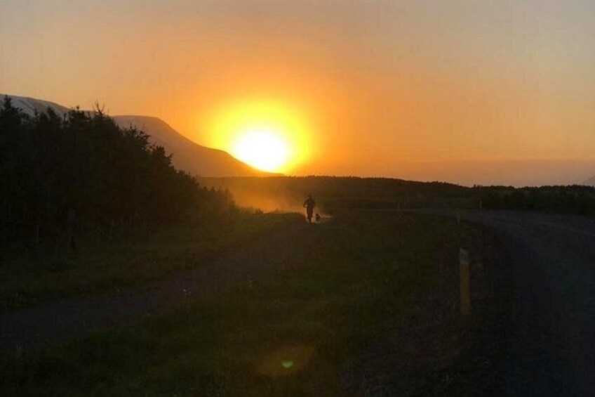 the midnight sun 2
