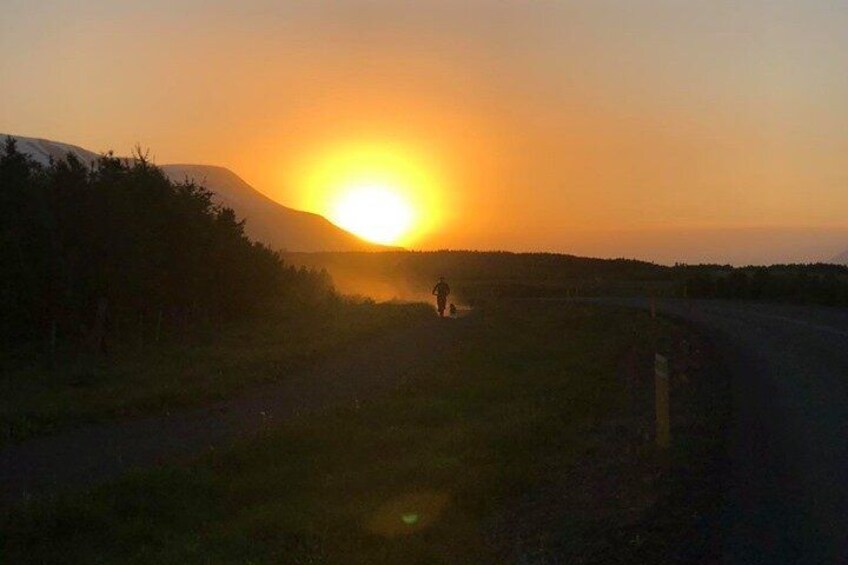 the midnight sun 2