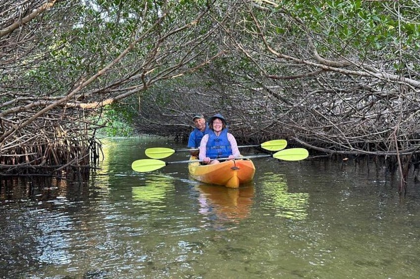 Two people kayaking in a mangrove area. 3