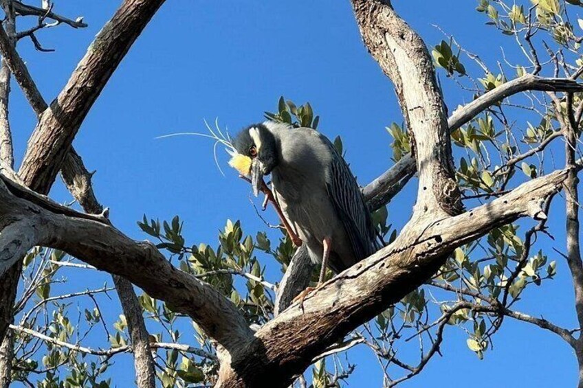 A bird perched on a tree branch. 2