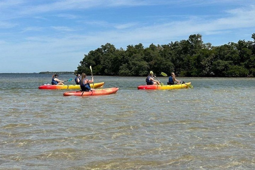Three kayaks on calm water with a forested island in the background. 5