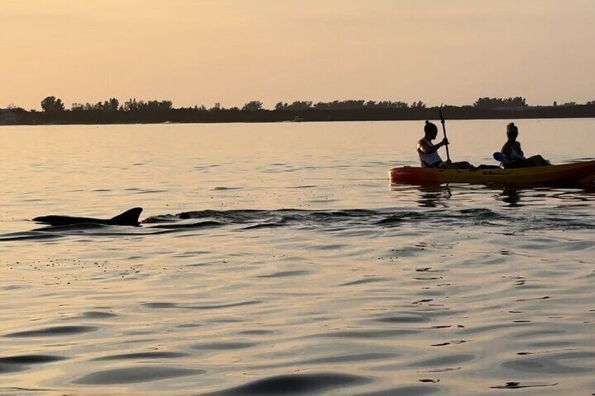 Two people kayaking on a calm body of water during sunset. 2