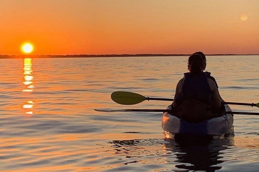 Sunset Kayaking with Dolphins 4