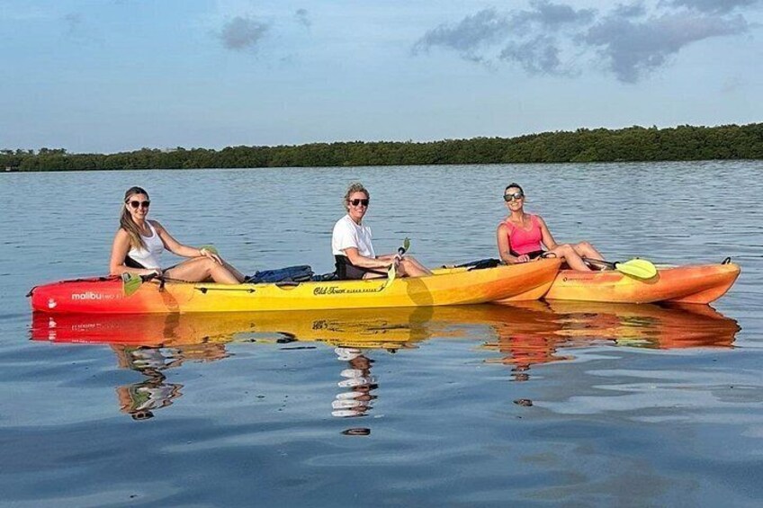 Sunset Kayaking with Dolphins 4