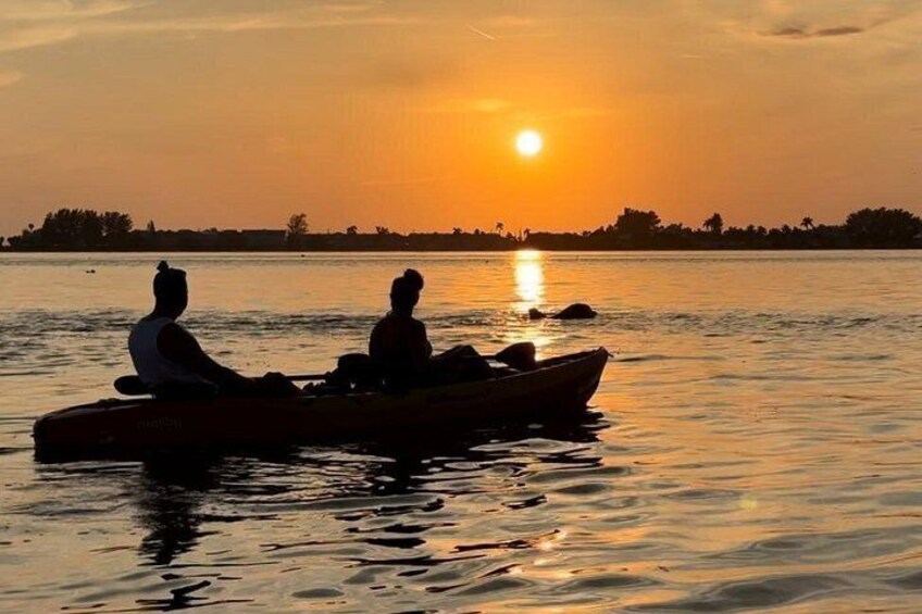 Sunset Kayaking with Dolphins 3
