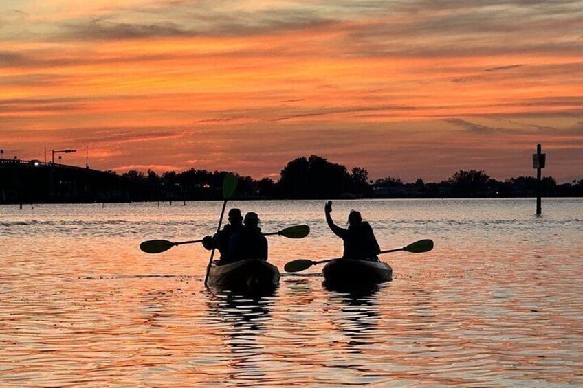 Sunset Kayaking with Dolphins 3