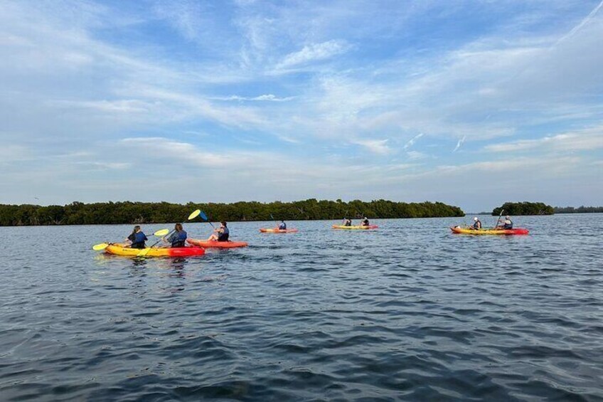 People kayaking on a calm lake with a forested shoreline. 4