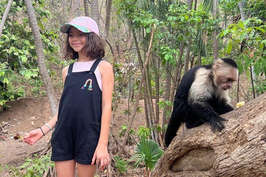 Monkey Crocodile Sloths and Beach Experience 3