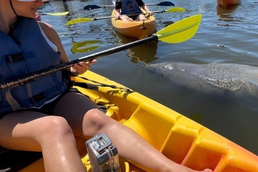 A person in a yellow kayak paddling on water with a paddle. 2