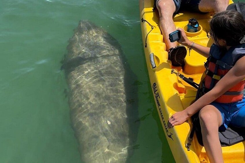 A kayak with two people, one taking a photo, and a large fish in the water. 4