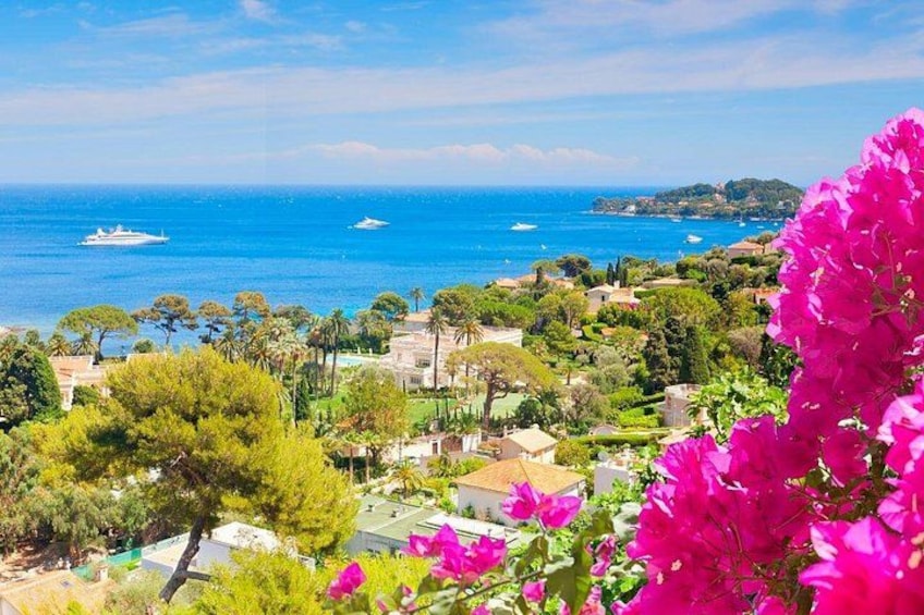A coastal town with boats on the sea, lush greenery, and pink flowers. 1