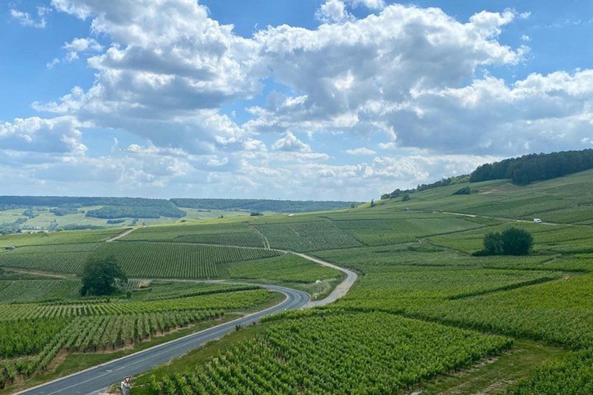 DeLuxe Veuve Clicquot Ruinart Champagne Cellars & Tastings trip 2