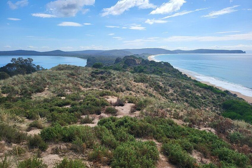 Signature Bruny Island Tour - Hobart & SE Tasmania 1
