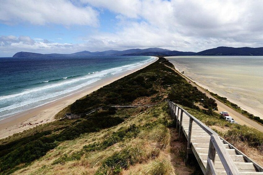 Signature Bruny Island Tour - Hobart & SE Tasmania 2