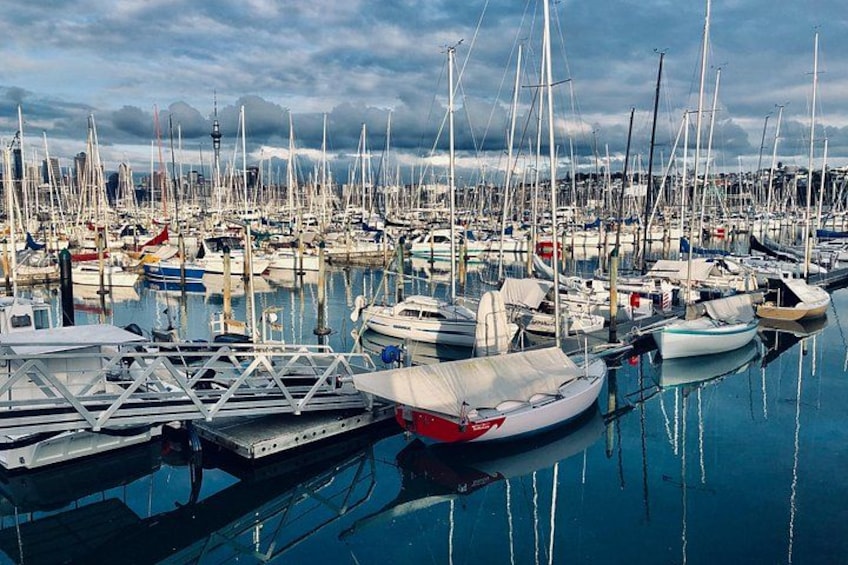 westhaven 5