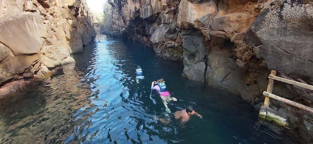 A narrow canyon with clear water, rocky walls, and a wooden ladder. 2