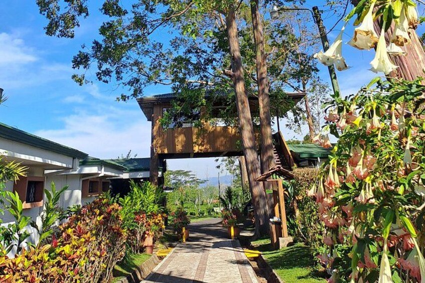 Hacienda Doka Coffee Tour 4