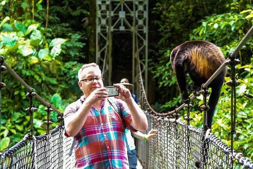The Mistico Hanging Bridges 2