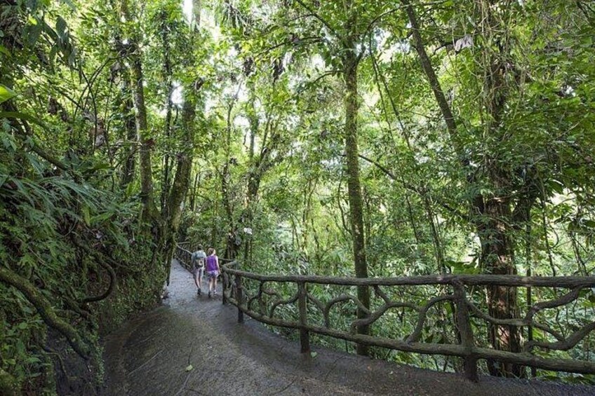 The Mistico Hanging Bridges 4