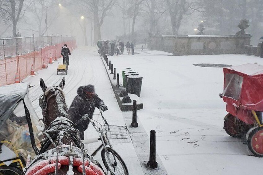 Full loop Private Horse Carriage Ride in Central Park 45 Minutes 3
