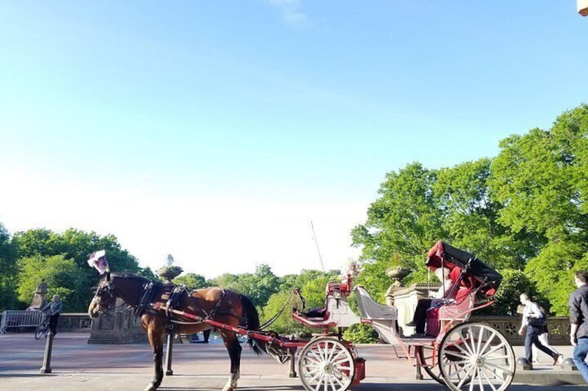 Full loop Private Horse Carriage Ride in Central Park 45 Minutes 5