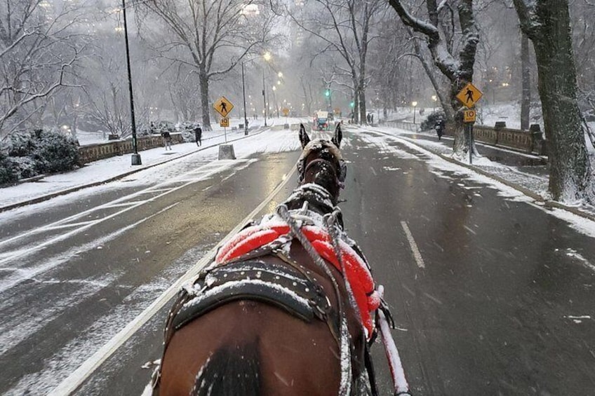 Full loop Private Horse Carriage Ride in Central Park 45 Minutes 2
