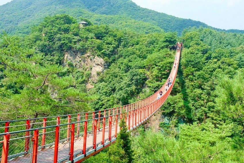 Seoul DMZ Tour with 3rd Tunnel and Red Suspension Bridge 1