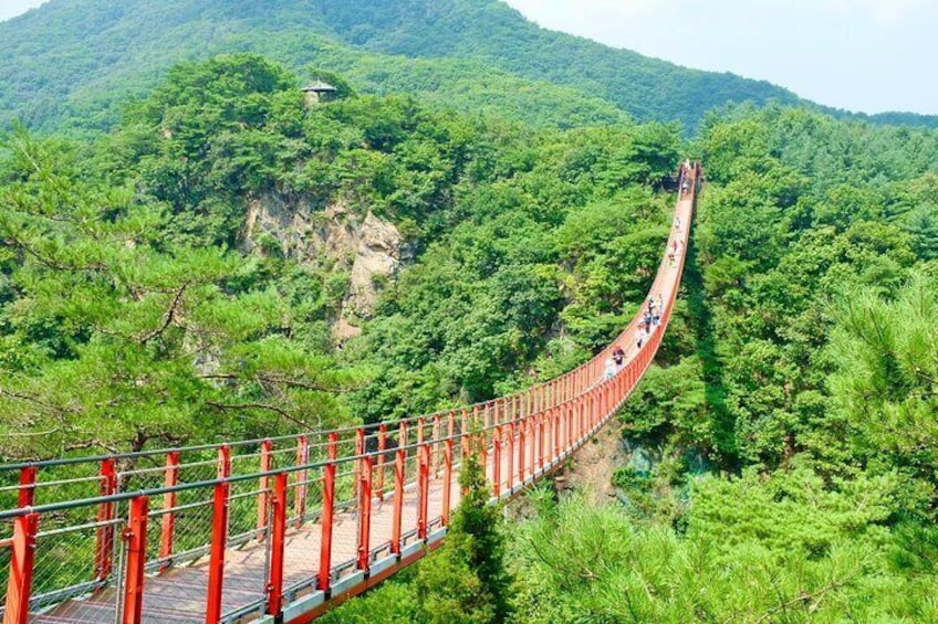 Un puente colgante rojo que serpentea a través de un bosque denso, con una montaña al fondo. 1