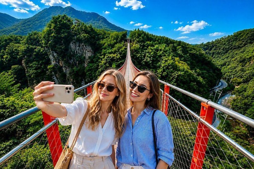 Seoul DMZ Tour with 3rd Tunnel and Red Suspension Bridge 2