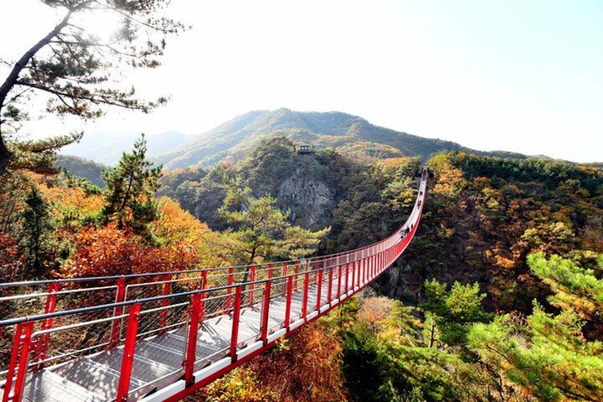 Seoul DMZ Tour with 3rd Tunnel and Red Suspension Bridge 4