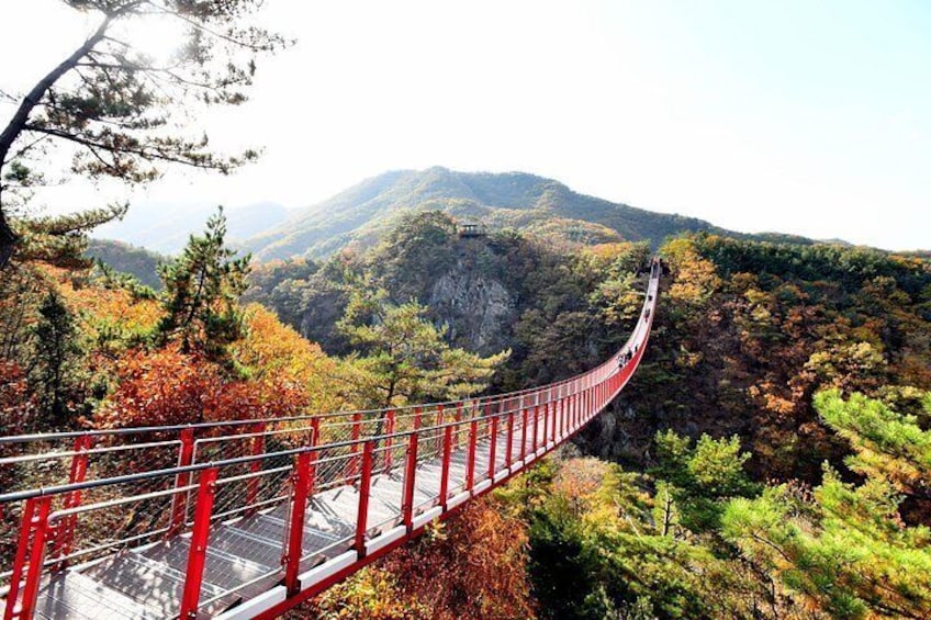 Seoul DMZ Tour with 3rd Tunnel and Red Suspension Bridge 2