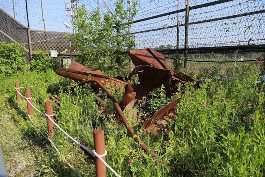 Seoul DMZ Tour with 3rd Tunnel and Red Suspension Bridge 3