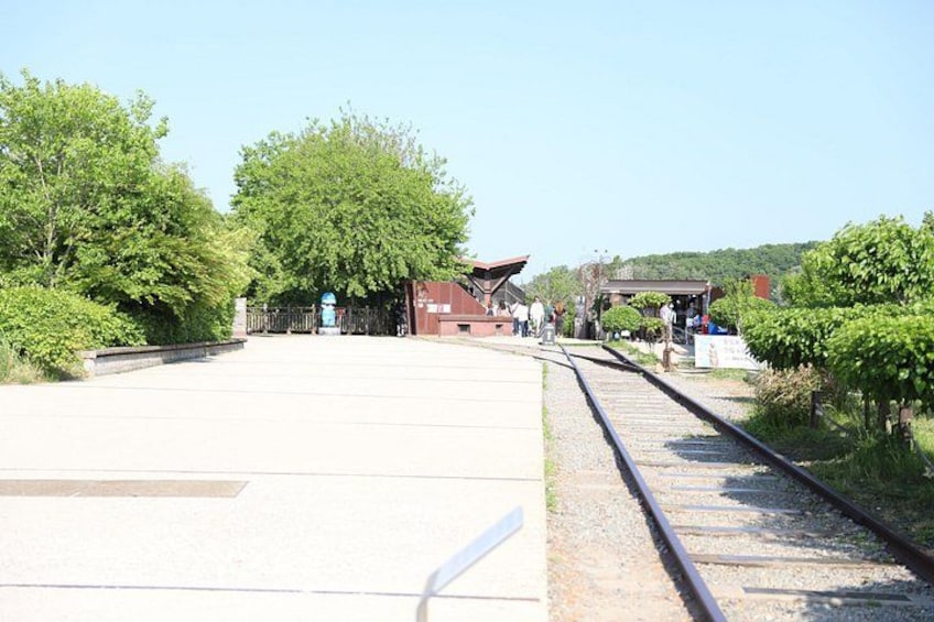 Seoul DMZ Tour with 3rd Tunnel and Red Suspension Bridge 3