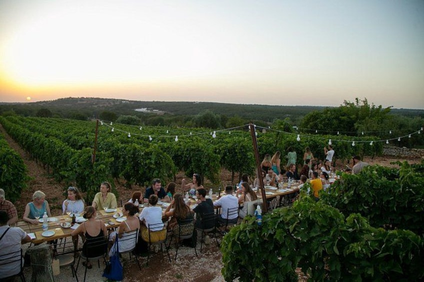 A group of people dining outdoors in a vineyard setting. 2