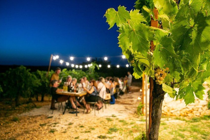 A vineyard with people gathered around a table, string lights overhead, and grapevines in the foreground. 2