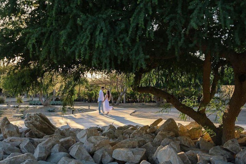 A couple walking under a tree in a park with rocks and greenery. 3