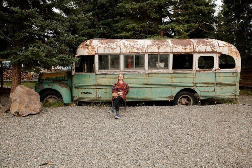 Denali Husky Sled Dog Experience & Local Brewery Visit 2