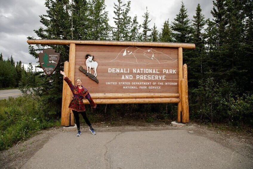 Denali Husky Sled Dog Experience & Local Brewery Visit 3
