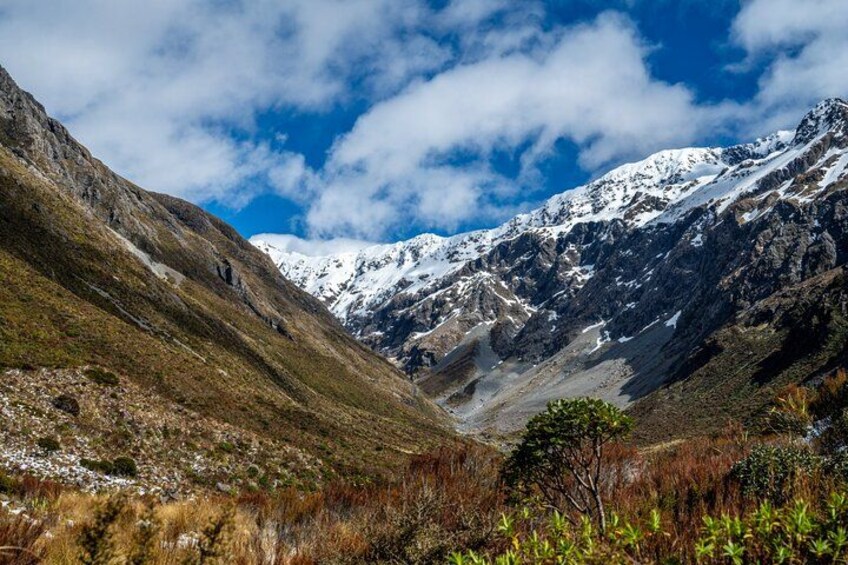 Arthurs Pass Jet Boating and TranzAlpine Train from Christchurch 3