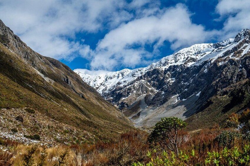 Arthurs Pass Jet Boating and TranzAlpine Train from Christchurch 4