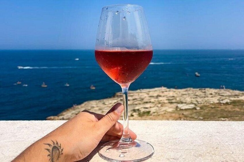 A hand holding a wine glass with a red liquid, overlooking a coastal landscape with the sea and boats in the distance. 5
