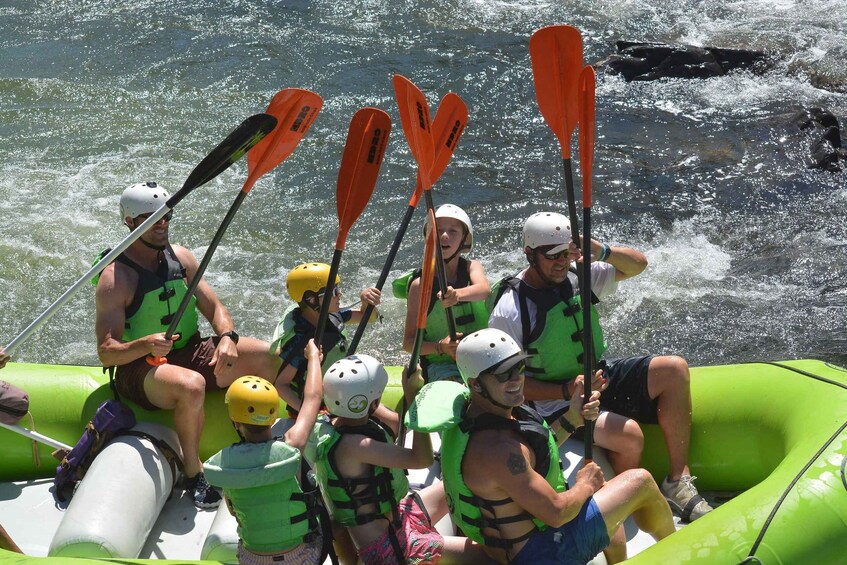 Picture 3 for Activity Lotus: South Fork American River Rafting 1/2 Day 2