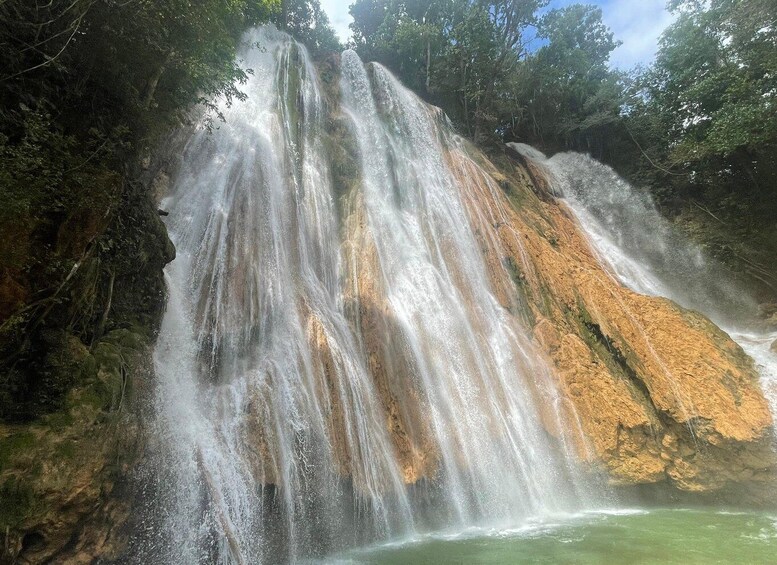 Picture 2 for Activity Las Terrenas: El Limón Waterfall Trekking Tour in Samana 2