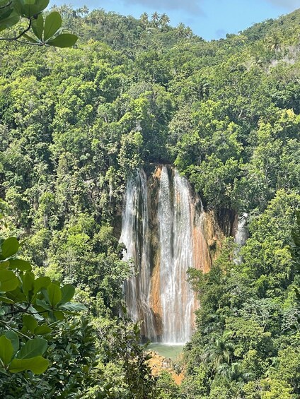 Picture 4 for Activity Las Terrenas: El Limón Waterfall Trekking Tour in Samana 3