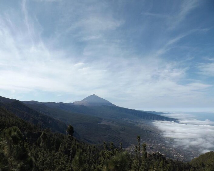 Picture 1 for Activity Tenerife: Teide & La Laguna (shore excursion) Santa Cruz 3