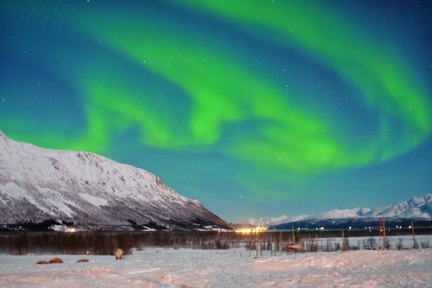 Polarlicht über einer verschneiten Landschaft mit Bergen im Hintergrund. 2